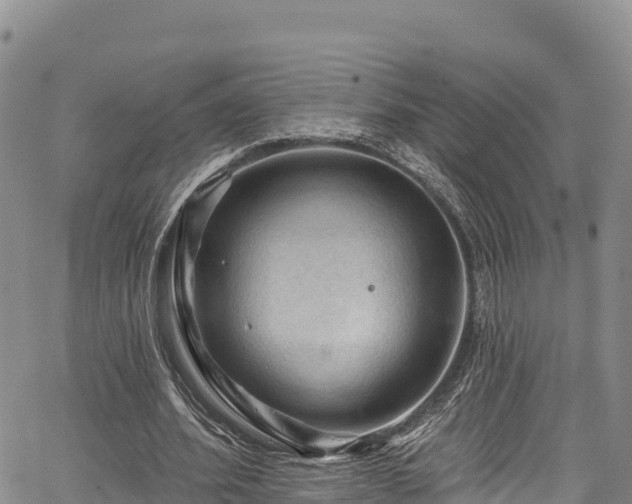 X0000067510580200604101258