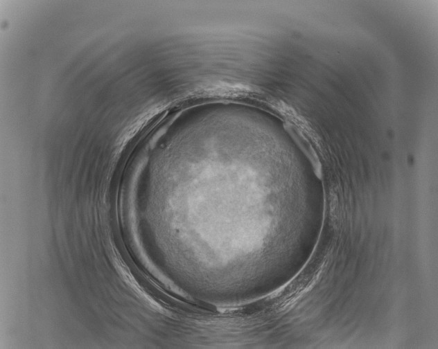 X0000067510581200604101258