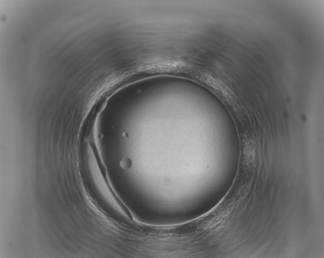 X0000067510582200604101258