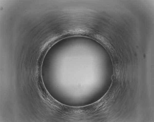 X0000067510583200604101258