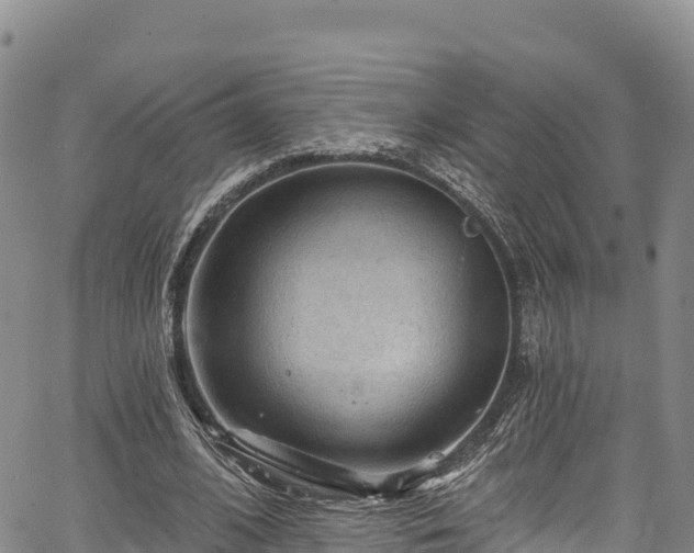 X0000067510584200604101258