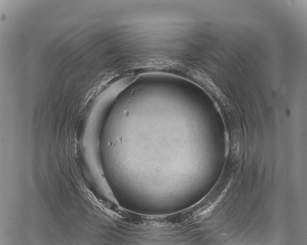 X0000067510585200604101258