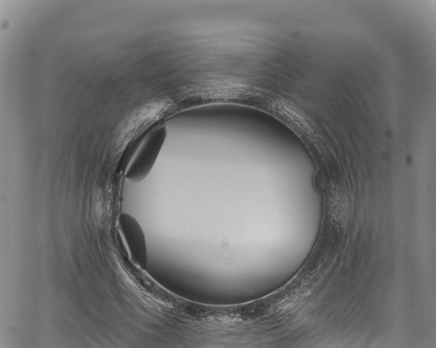 X0000067510586200604101258