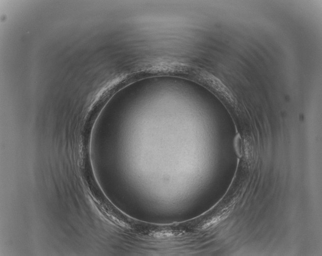 X0000067510588200604101258