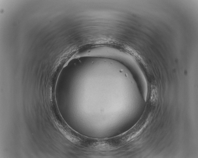 X0000067510589200604101258