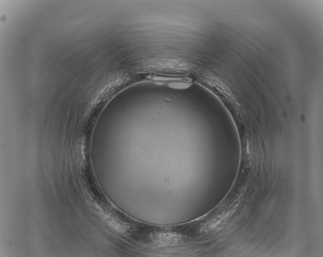 X0000067510590200604101258