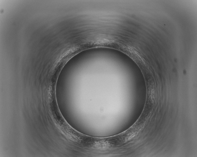 X0000067510591200604101258