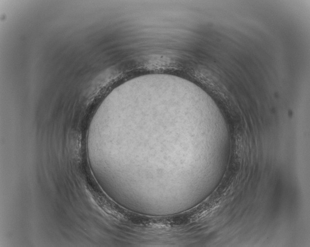 X0000067510592200604101258