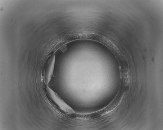 X0000067510593200604101257