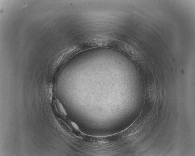 X0000067510594200604101257