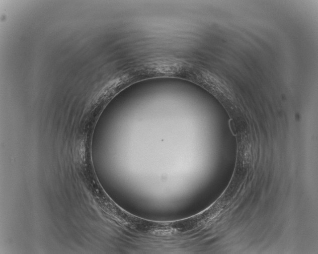 X0000067510595200604101257