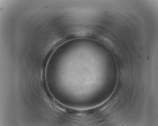 X0000067510596200604101257