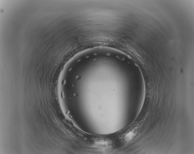 X0000067510597200604101257