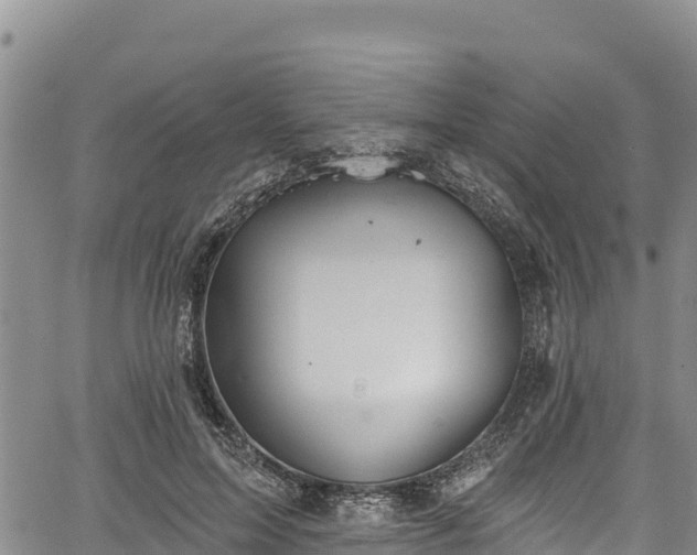 X0000067510599200604101257