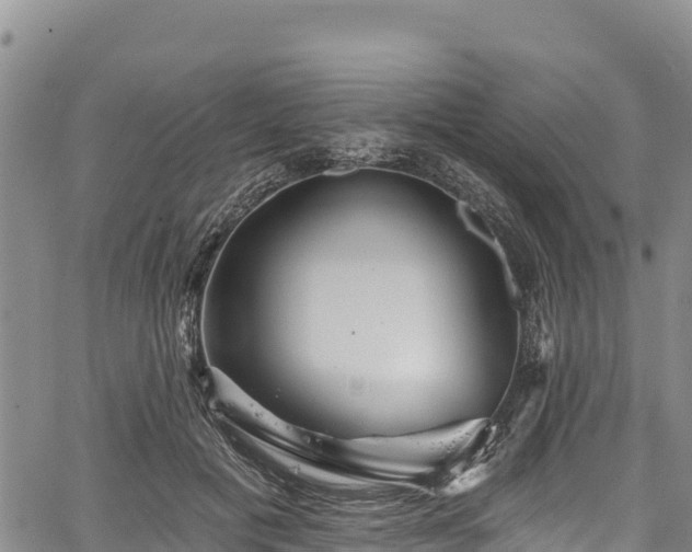 X0000067510601200604101257