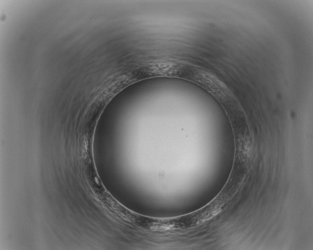 X0000067510602200604101257