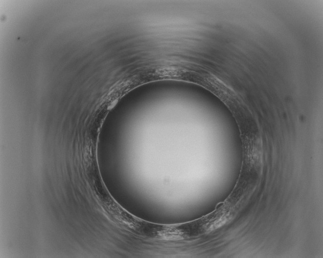 X0000067510603200604101257