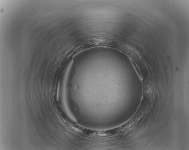 X0000067510607200604101257