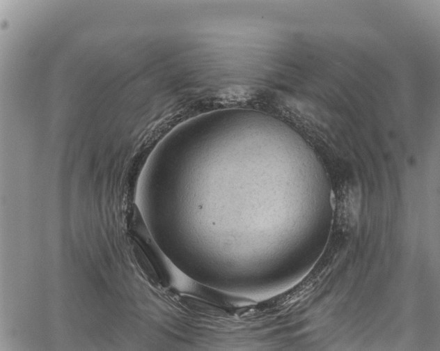 X0000067510608200604101257