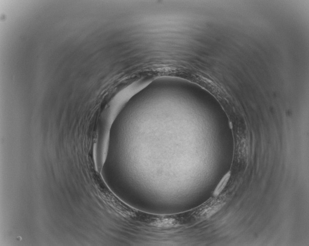 X0000067510609200604101257