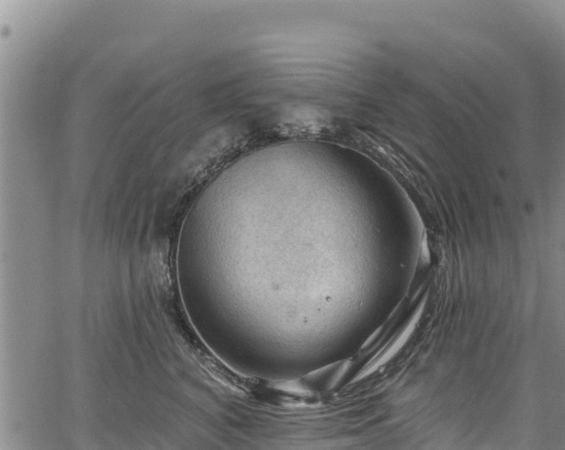 X0000067510616200604101257