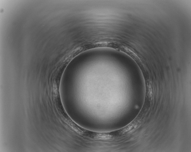 X0000067510617200604101257