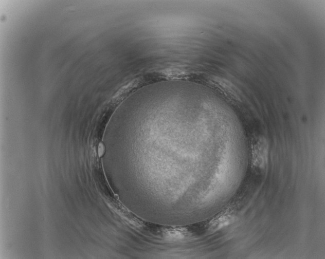 X0000067510618200604101257