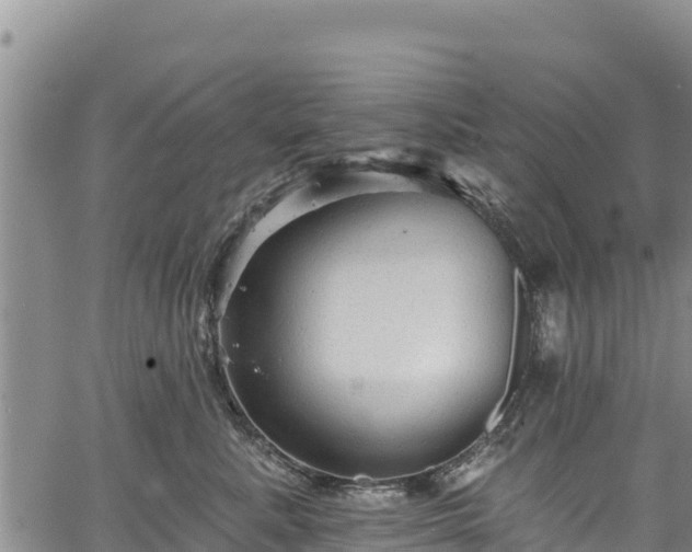 X0000067510619200604101257