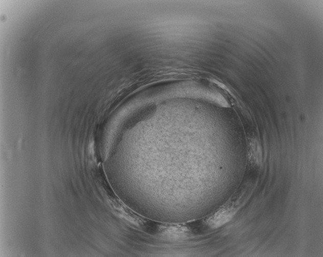 X0000067510621200604101257