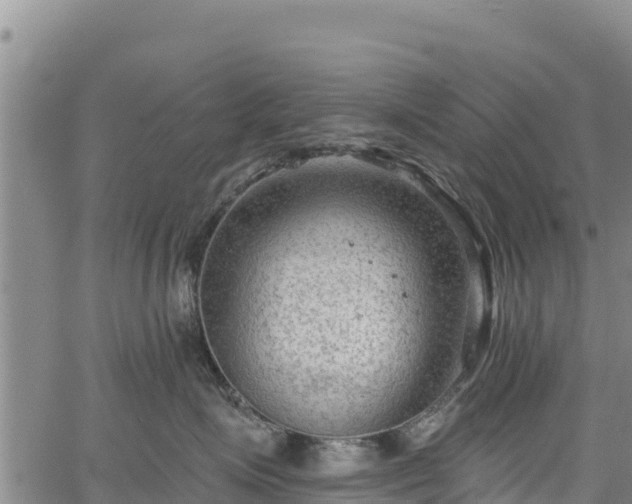 X0000067510623200604101257