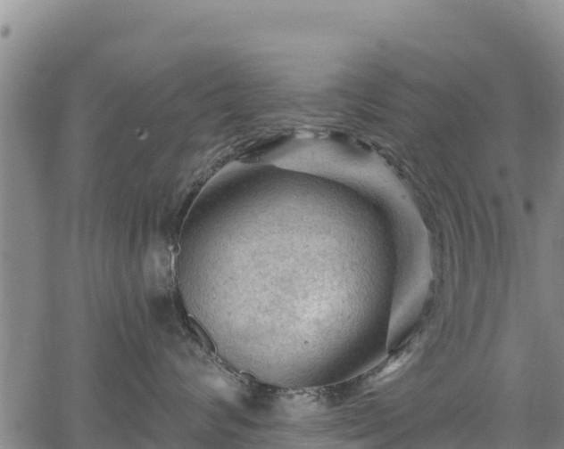 X0000067510624200604101257