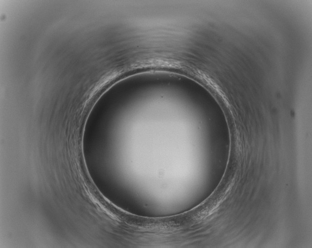 X0000067510625200604101256