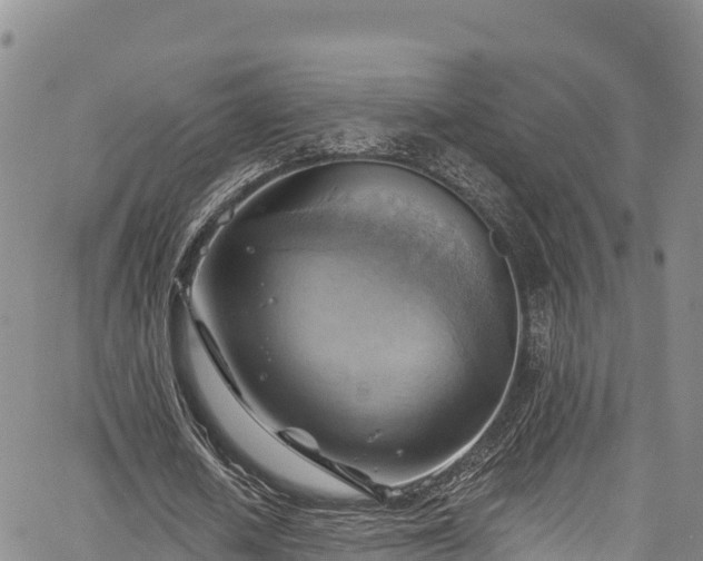 X0000067510626200604101256