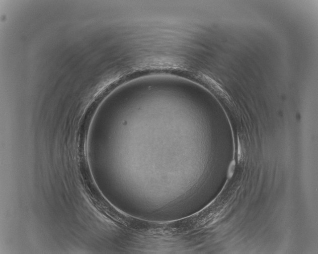 X0000067510627200604101256