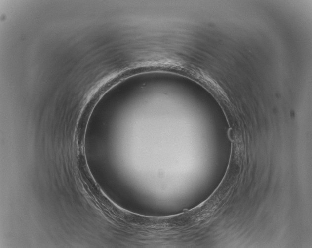 X0000067510628200604101256