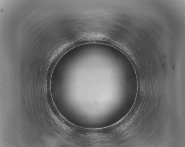 X0000067510629200604101256