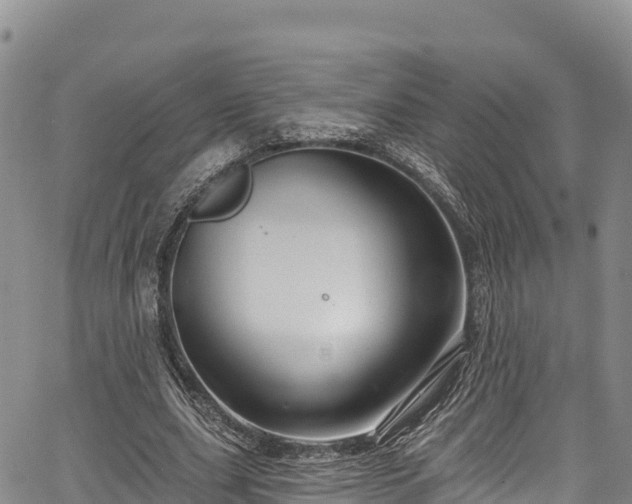 X0000067510631200604101256