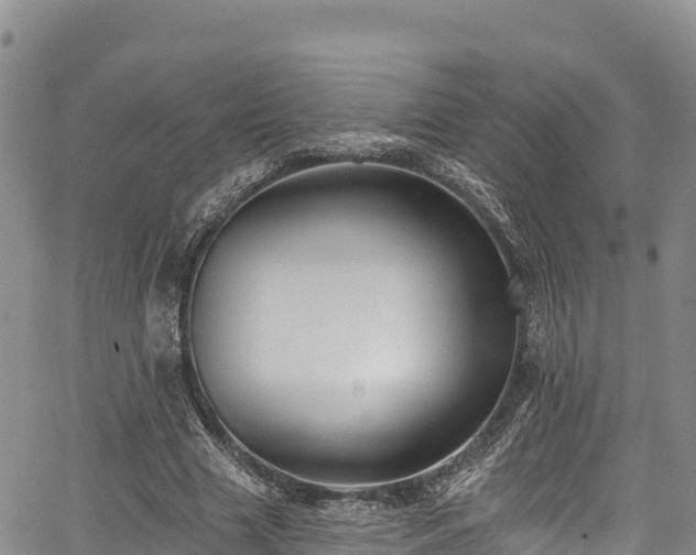 X0000067510633200604101256