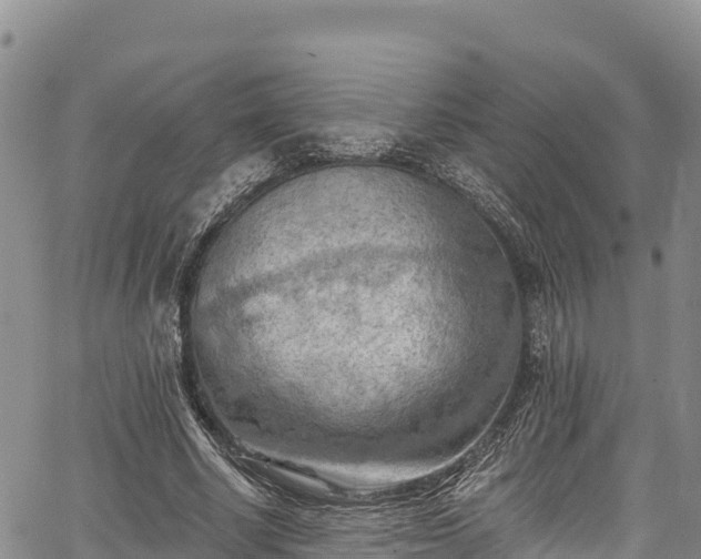 X0000067510634200604101256