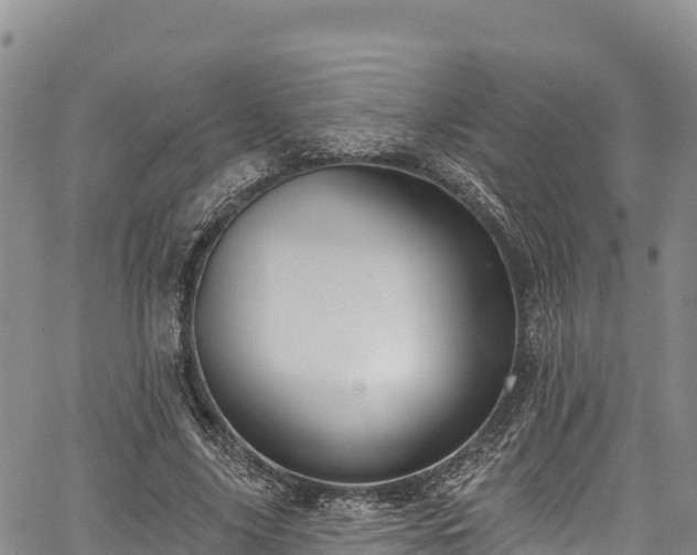 X0000067510635200604101256