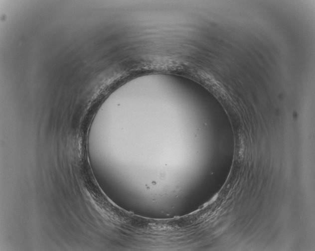 X0000067510636200604101256