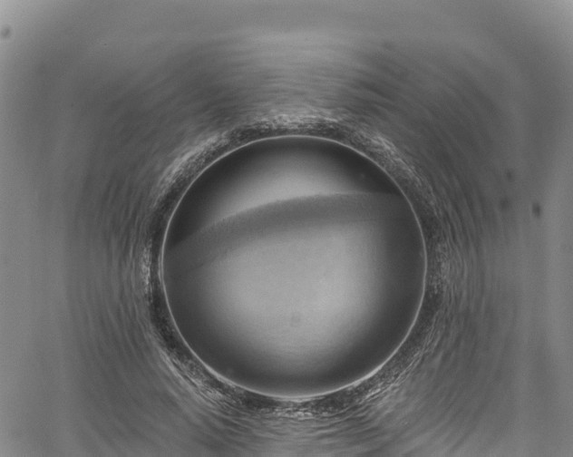 X0000067510640200604101256