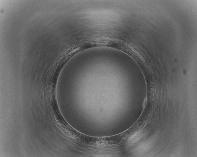 X0000067510641200604101256