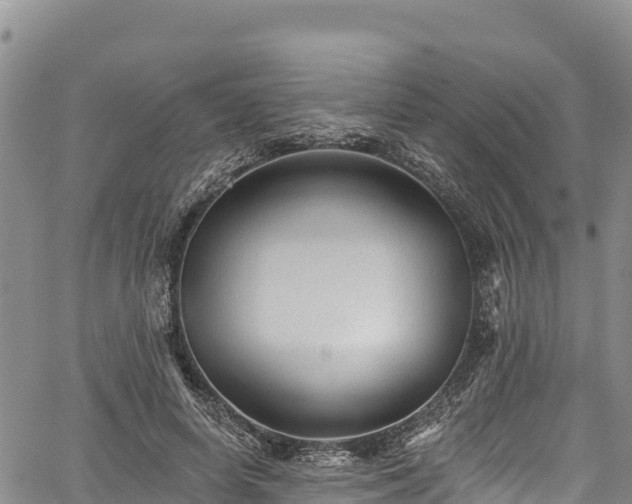 X0000067510642200604101256