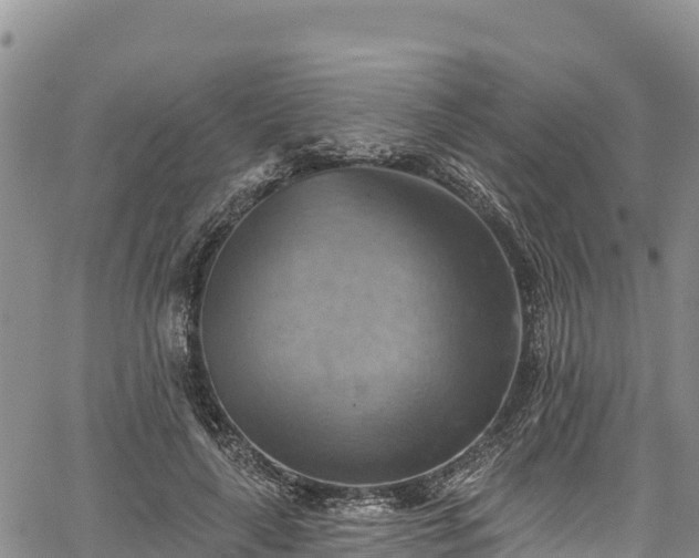 X0000067510643200604101256