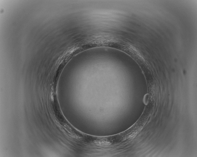 X0000067510644200604101257