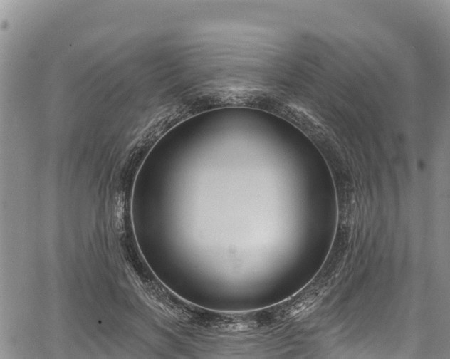 X0000067510646200604101257