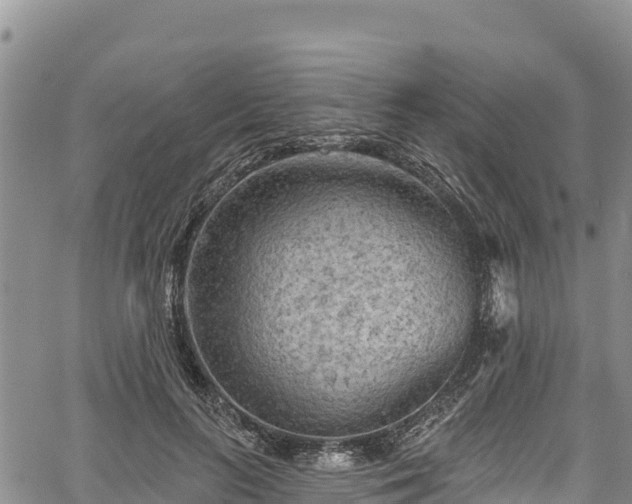 X0000067510647200604101257