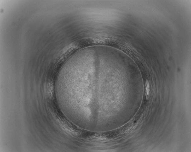 X0000067510648200604101257