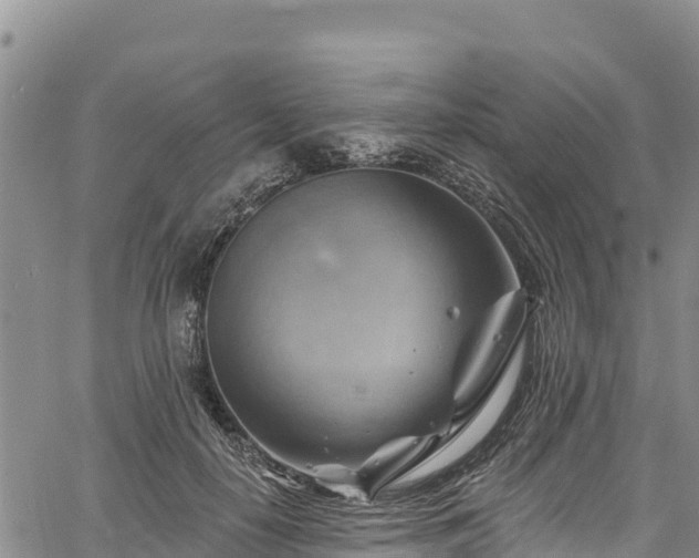 X0000067510650200604101257